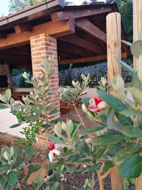 Amazing 4 Bedroom Villa With Swimming Pool And Wifi, Family Frendly Tribalj  Екстериор снимка